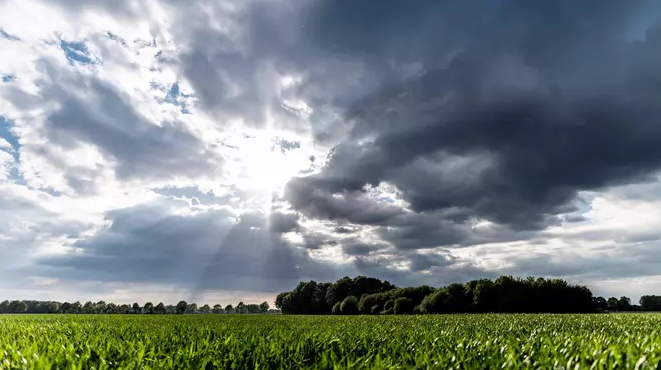 Wetter